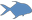 Key West permit fishing