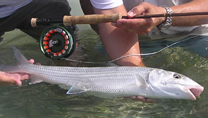 Fly fishing equipment